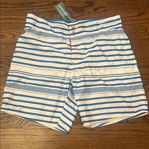 Diesel Blue and White Striped Shorts